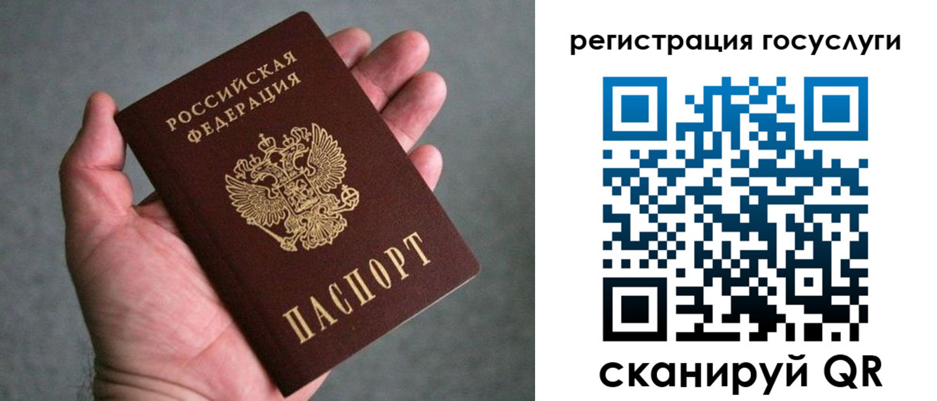 прописка поиск в Спасске-Дальнем